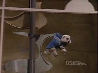 Click to watch 'Poodle Springs' (popup) Coach